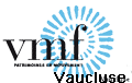 logo vmf